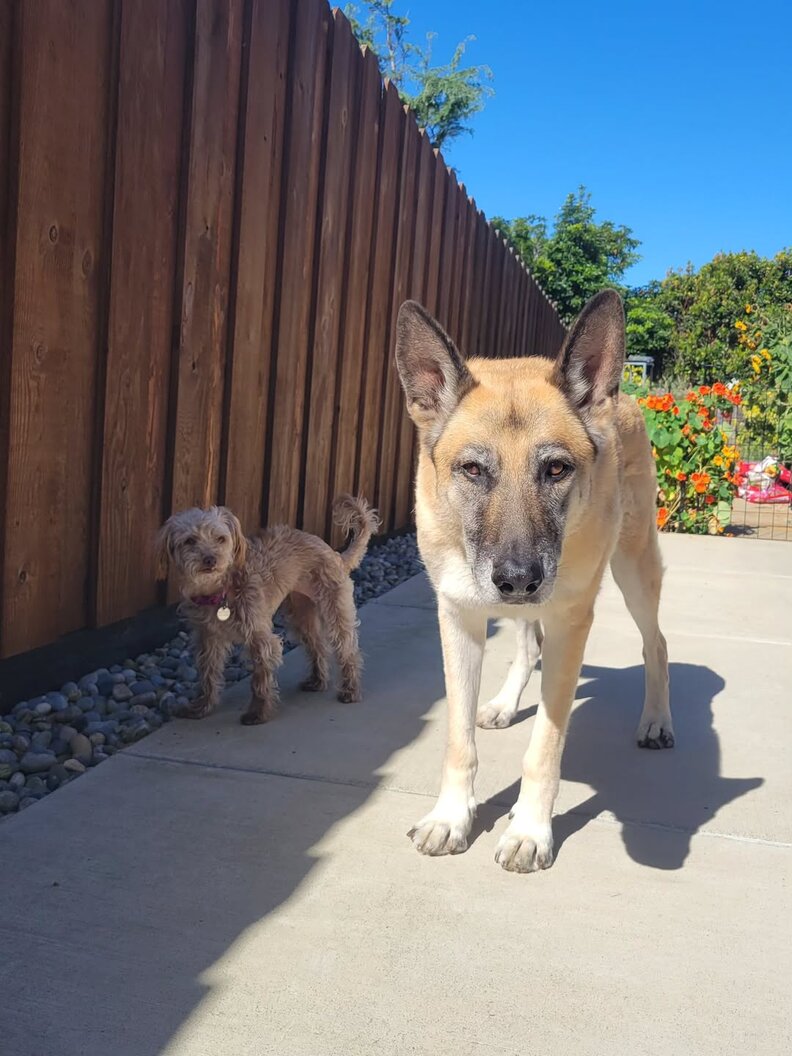 チキのイベント