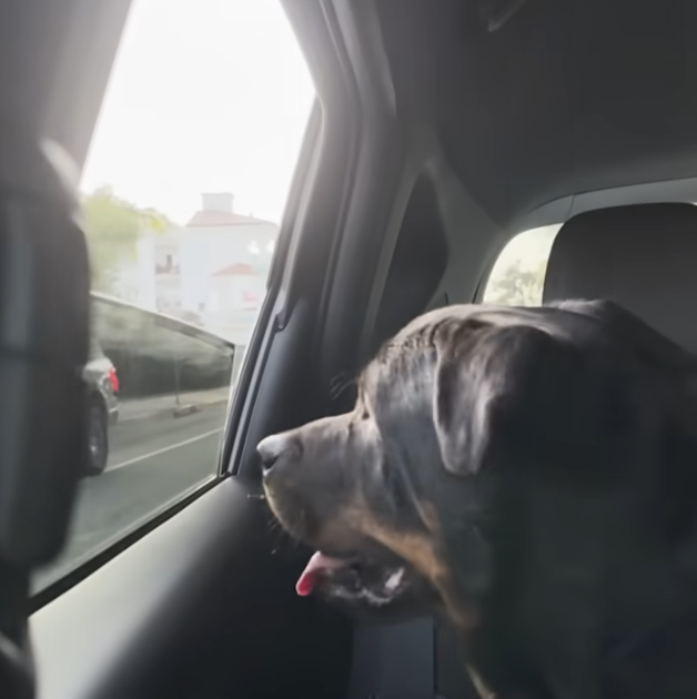 フロールの笑顔