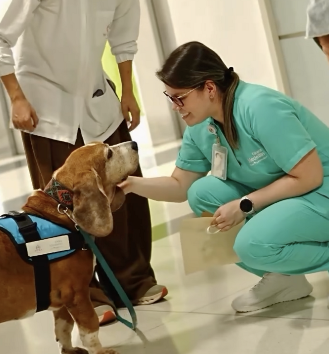 Therapy Dog Shows Up To Work And The Entire Hospital Gives Him A ...