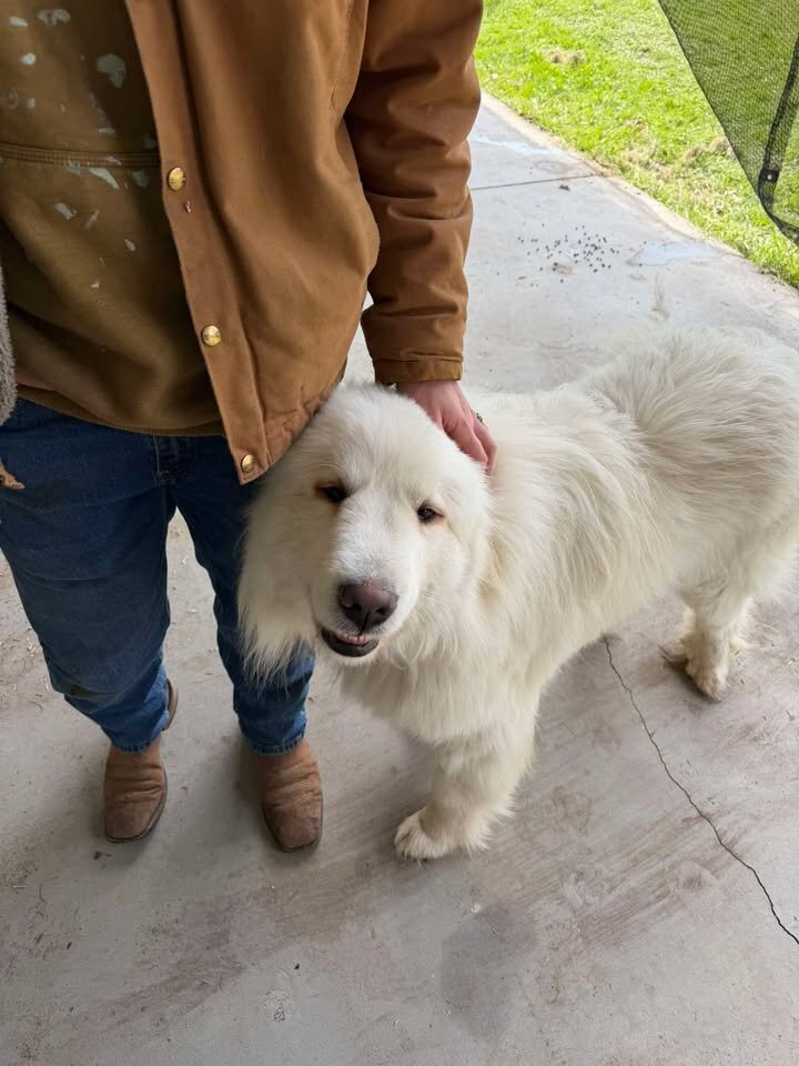 Doug with his dad