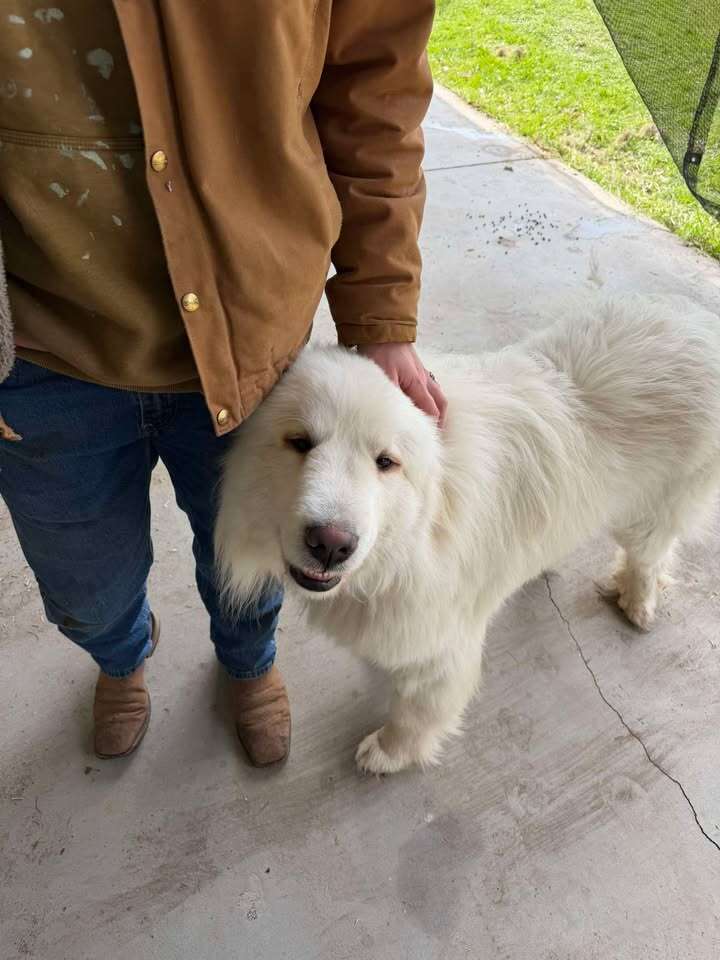 Doug with his dad