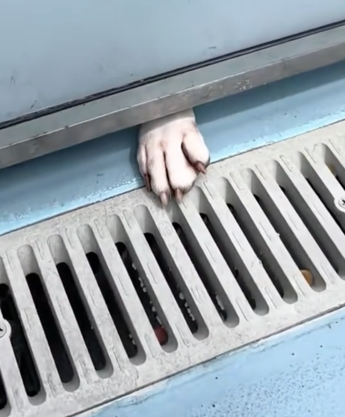 エリーの可愛い姿