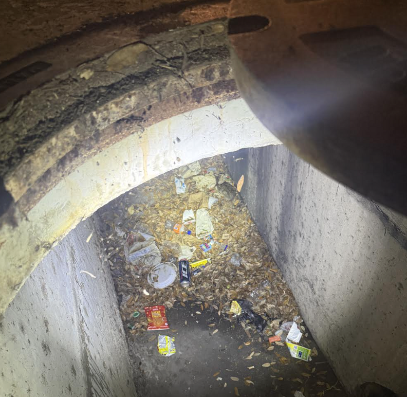 Rescue Mission: School Staff Saves Kitten from Storm Drain - Animal ...