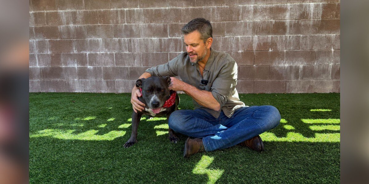 Matt Damon and a pittie
