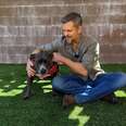 Matt Damon and a pittie