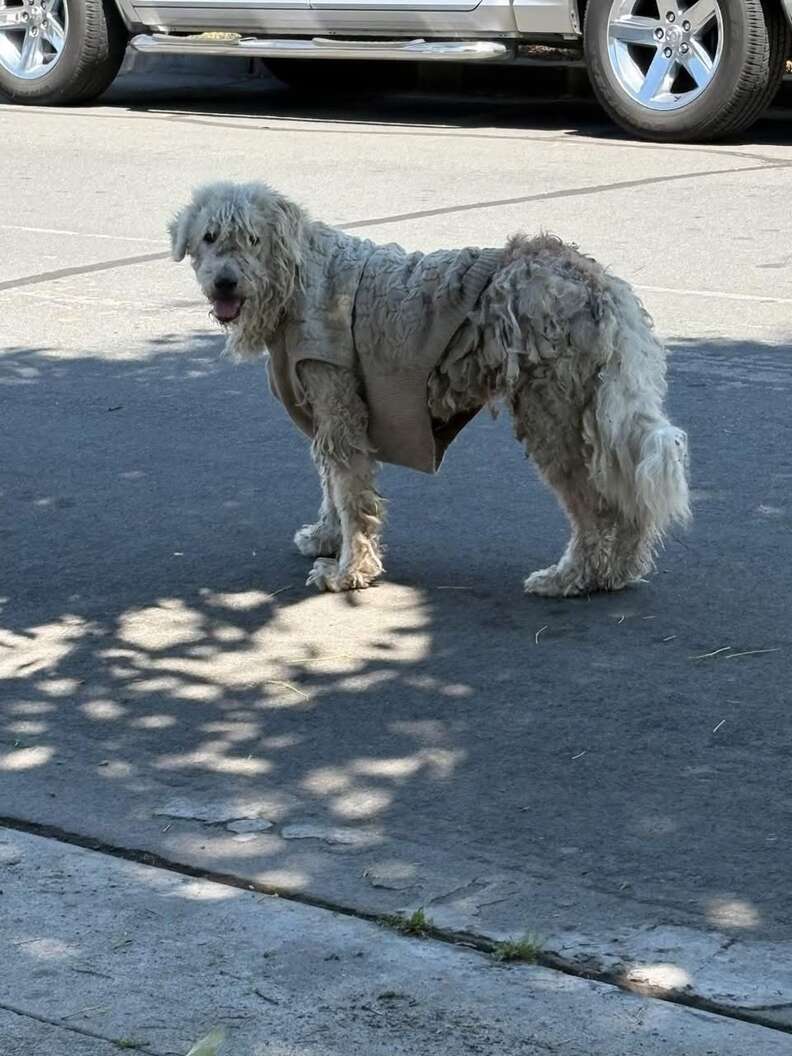 Darlaの最初の写真