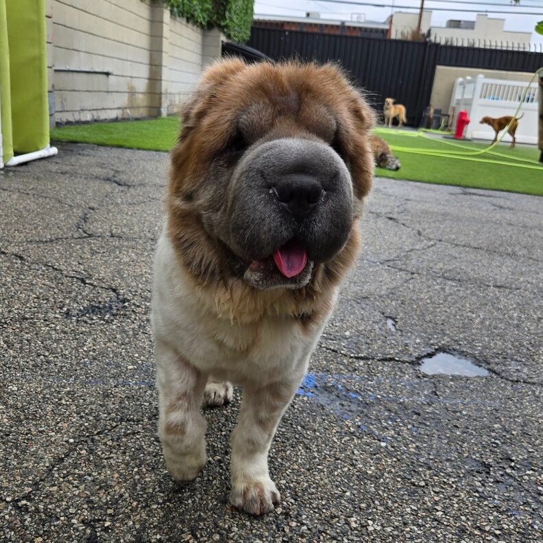 ウィニーの写真