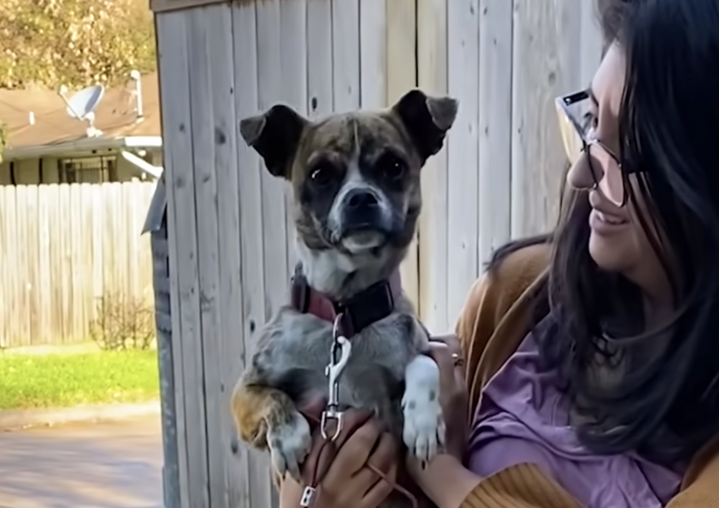 レスキュー犬と女性