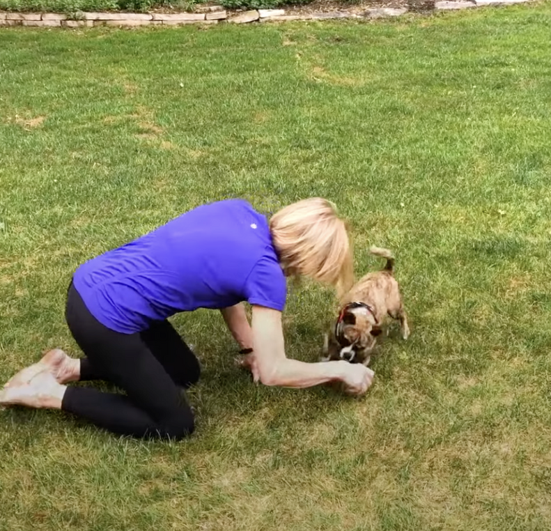 女性と犬が庭で遊んでいる