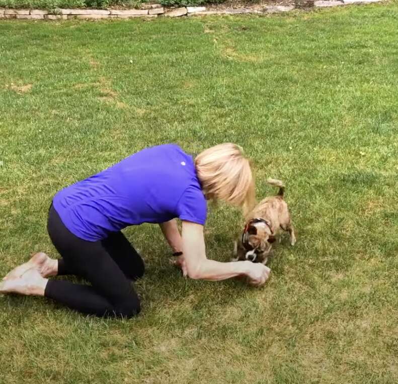 女性と犬が庭で遊んでいる