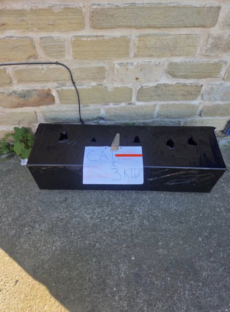 A taped up planter with a note