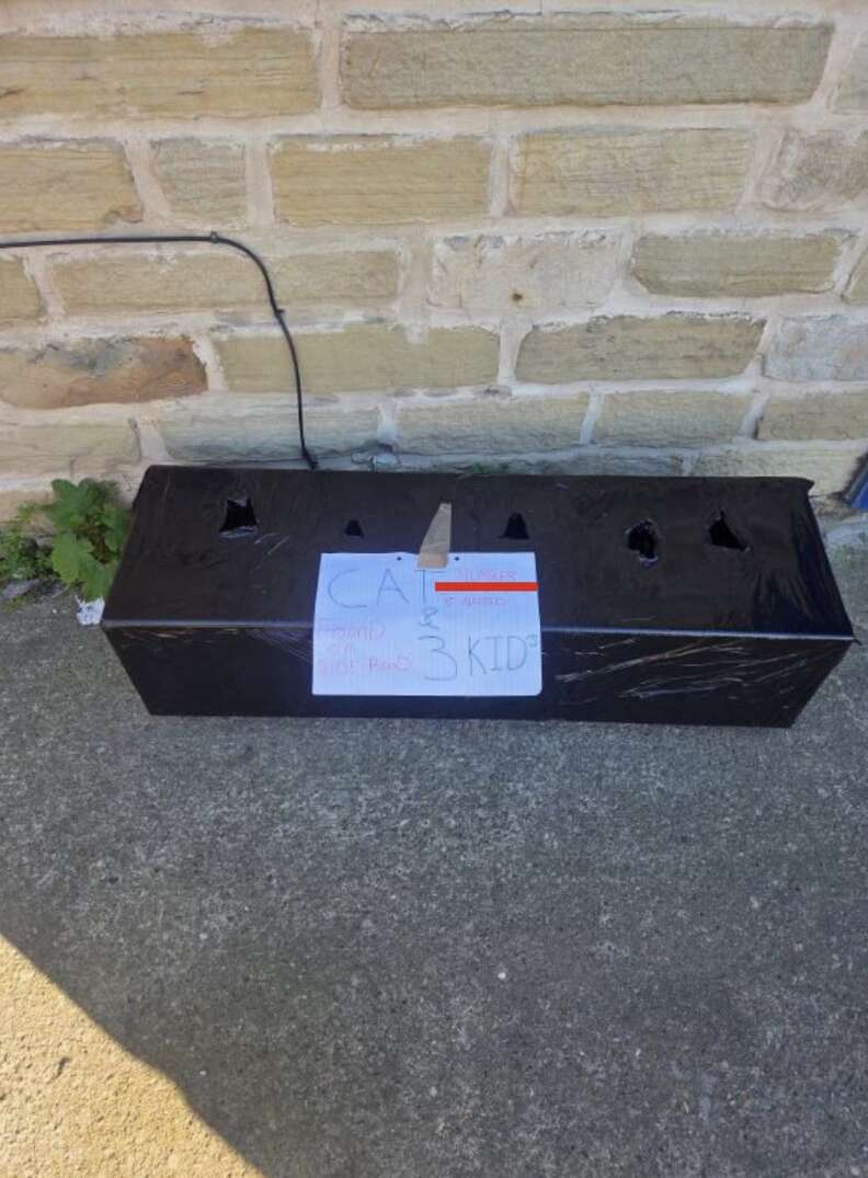 Rectangular planter box wrapped in plastic and duct-taped