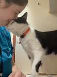 Charles, the loving new family member