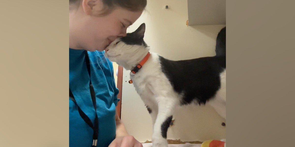 Shelter Cat Headbutts Grieving Volunteer — And Changes Both Of Their Lives Forever