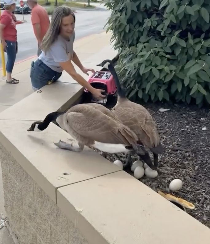 カレンとリチャード