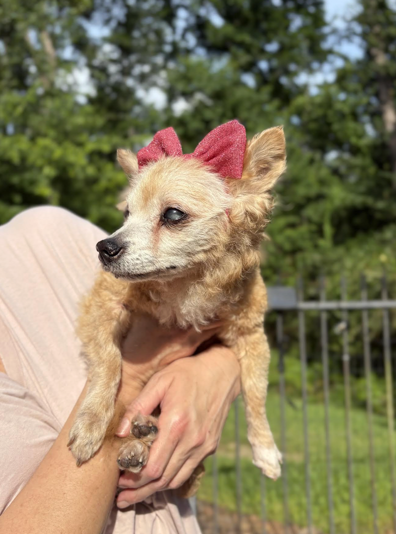 Agatha with her new family