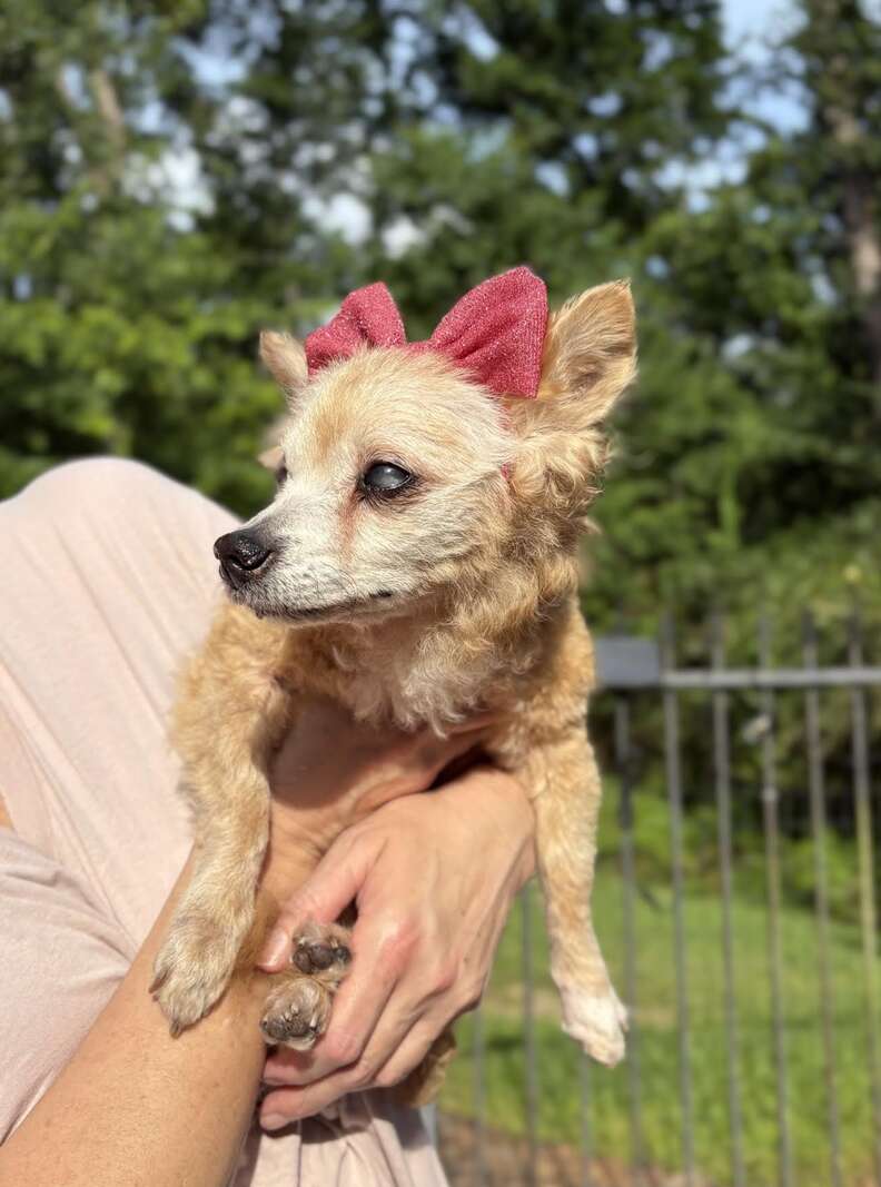 Agatha with her new family