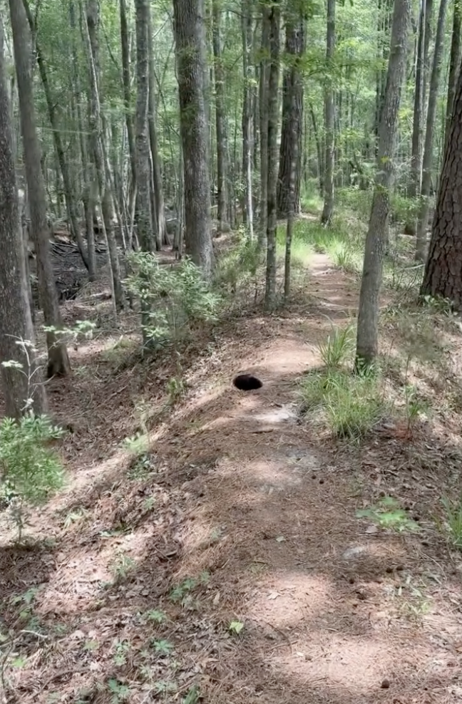 Guy Sees A 'Black Void'In Middle Of Hiking Trail — And Saves An Injured Wild Baby