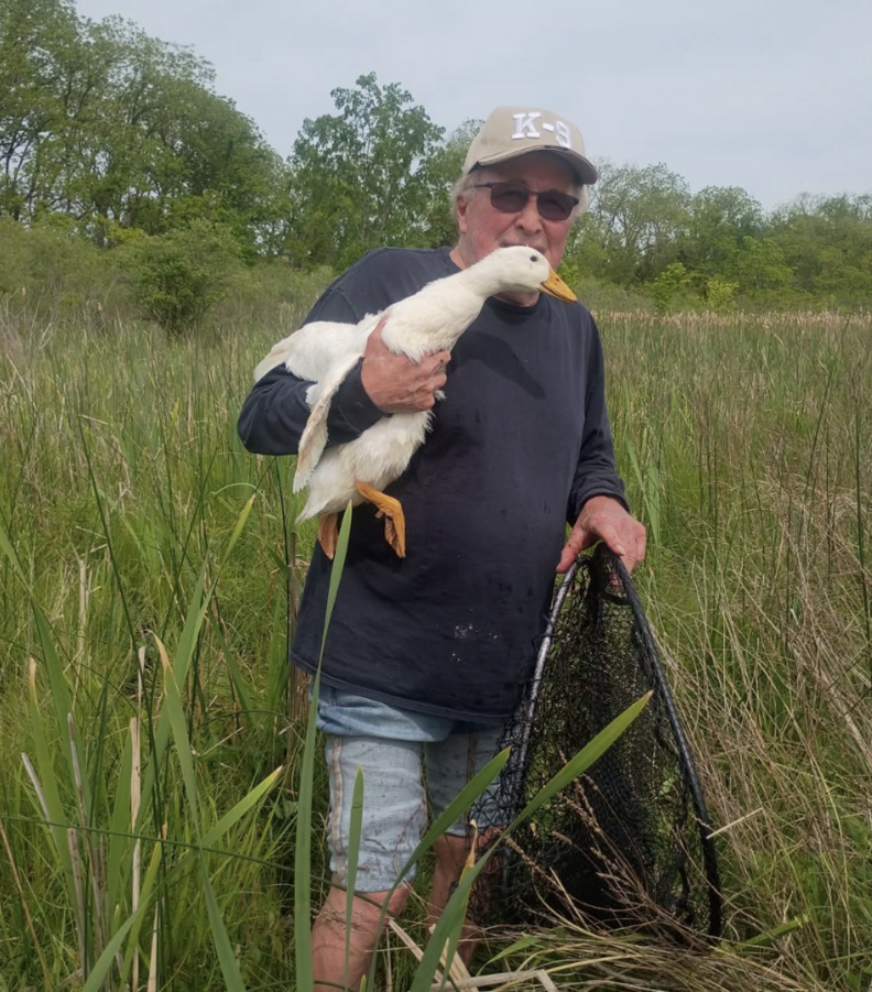 man holding duck in marsh 