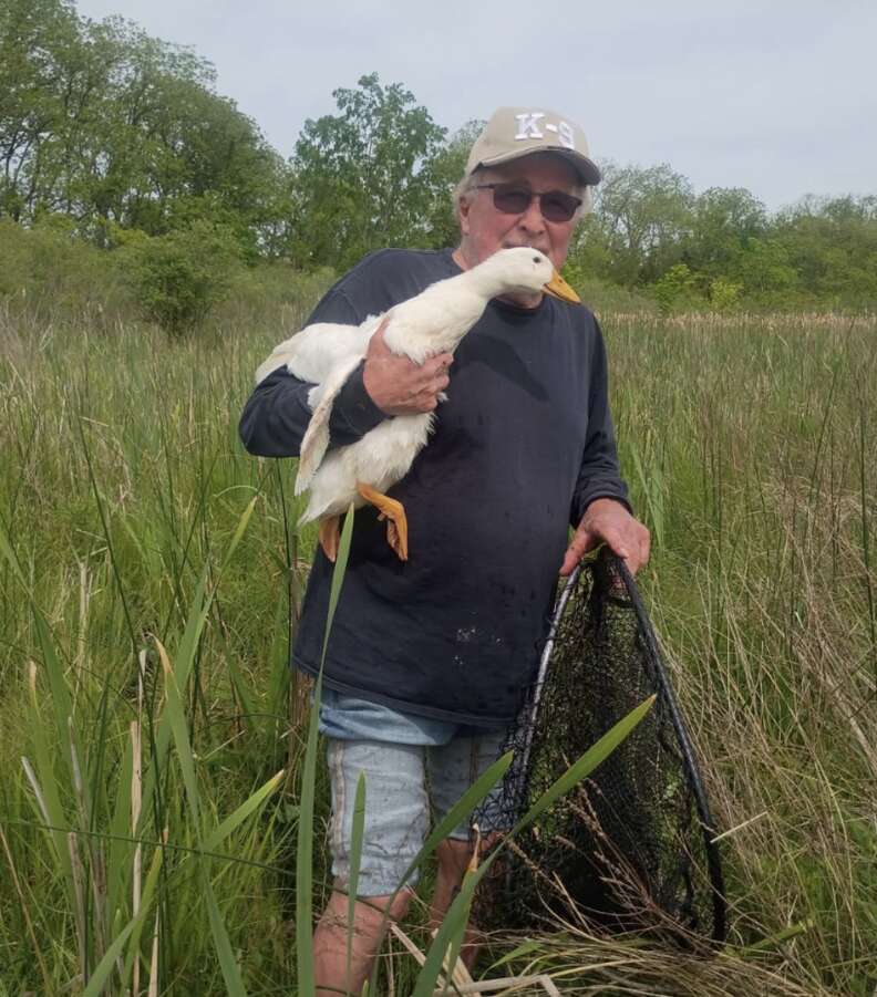 man holding duck in marsh