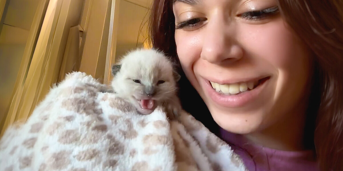 Woman Finds TINY Kitten All Alone — And Brings Him Home - Videos - The Dodo