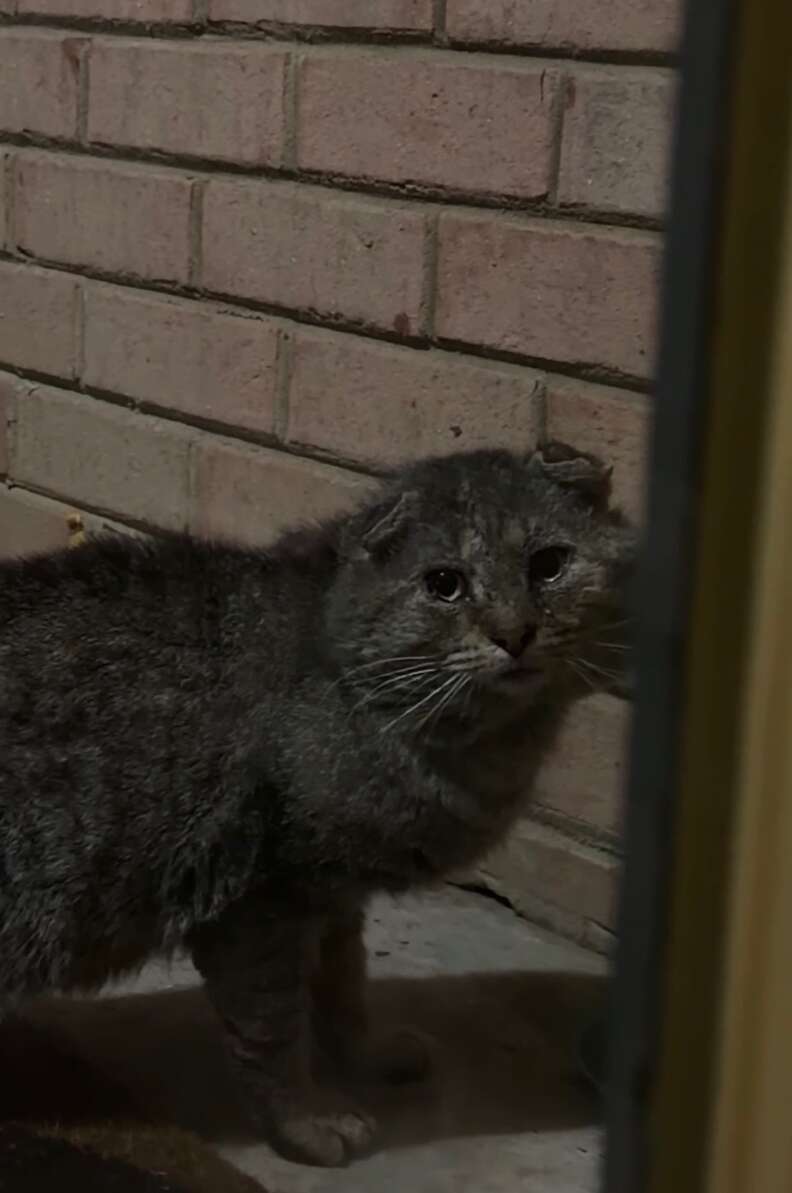 Charles looking through the window with hope
