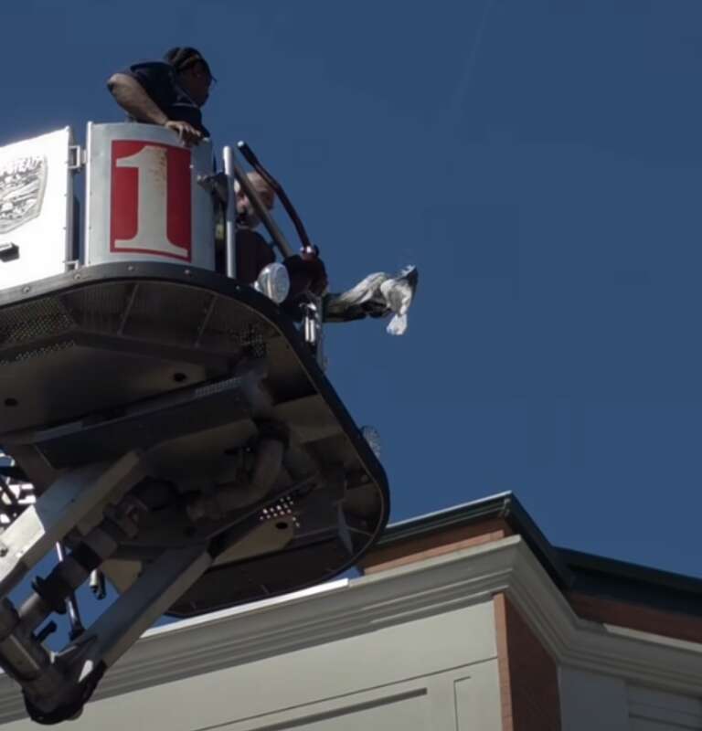 firefighters rescuing gull