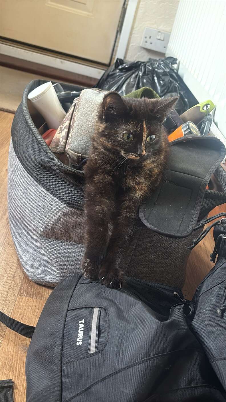 RSPCA Inspector