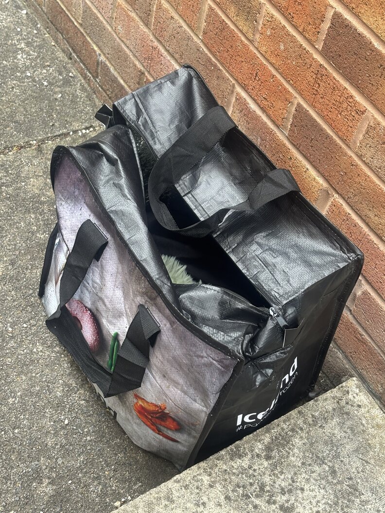 DO NOTHING CONGRESS SAC JB バーキン トート Workman Spots Shopping Bag Near Basketball Court — Then Sees A