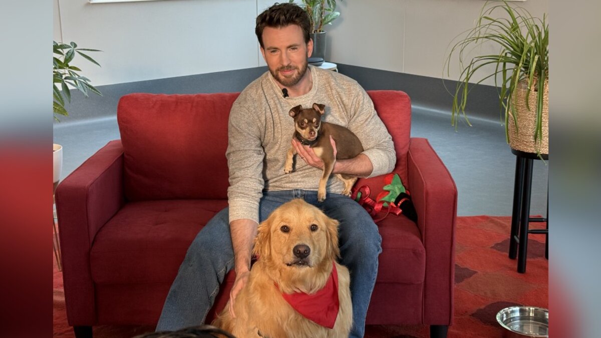 Chris Evans Talks Movies And Family While On A Date With Two Adorable Dogs