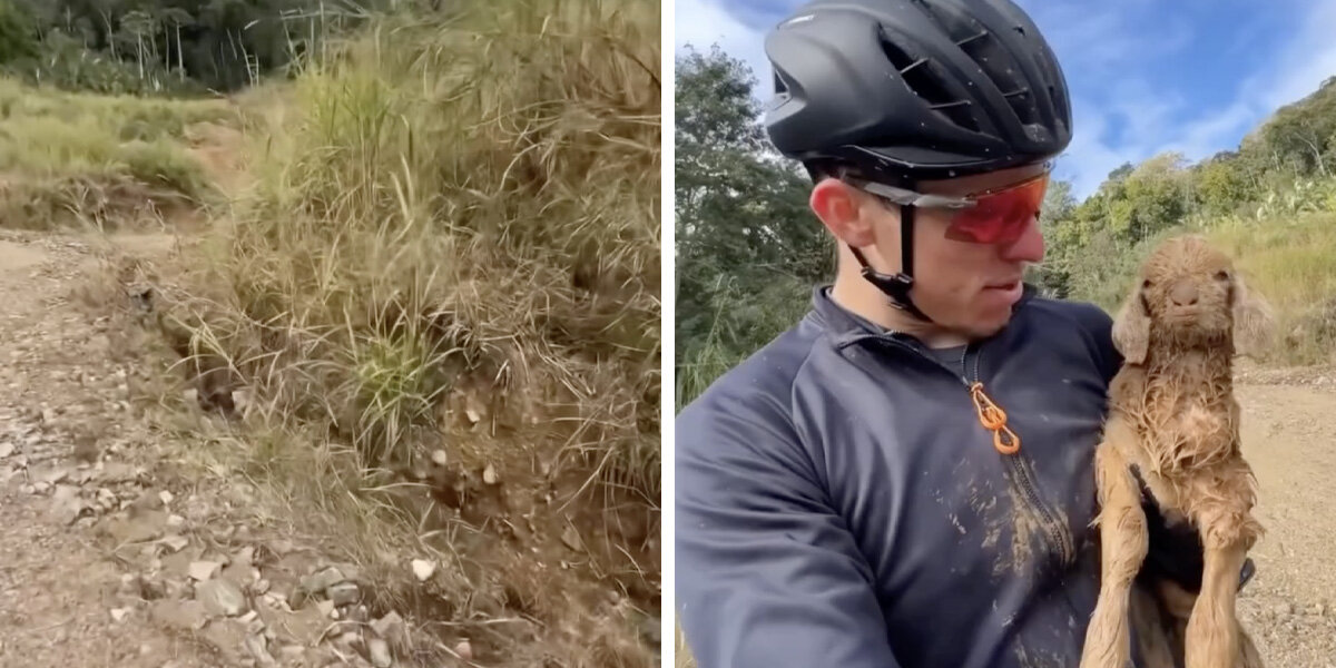 Cyclist Hears Cries While Training In The Mountains — And Spots A Baby Covered In Mud