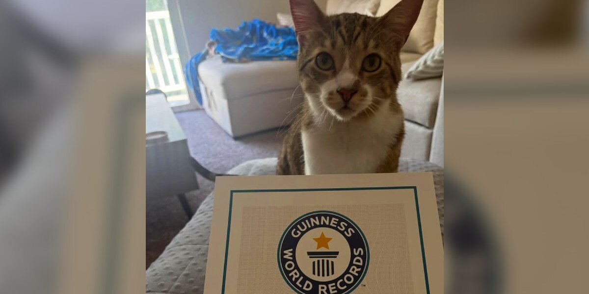 Mom Notices Something Different About Her Cat — Then He Breaks A World Record