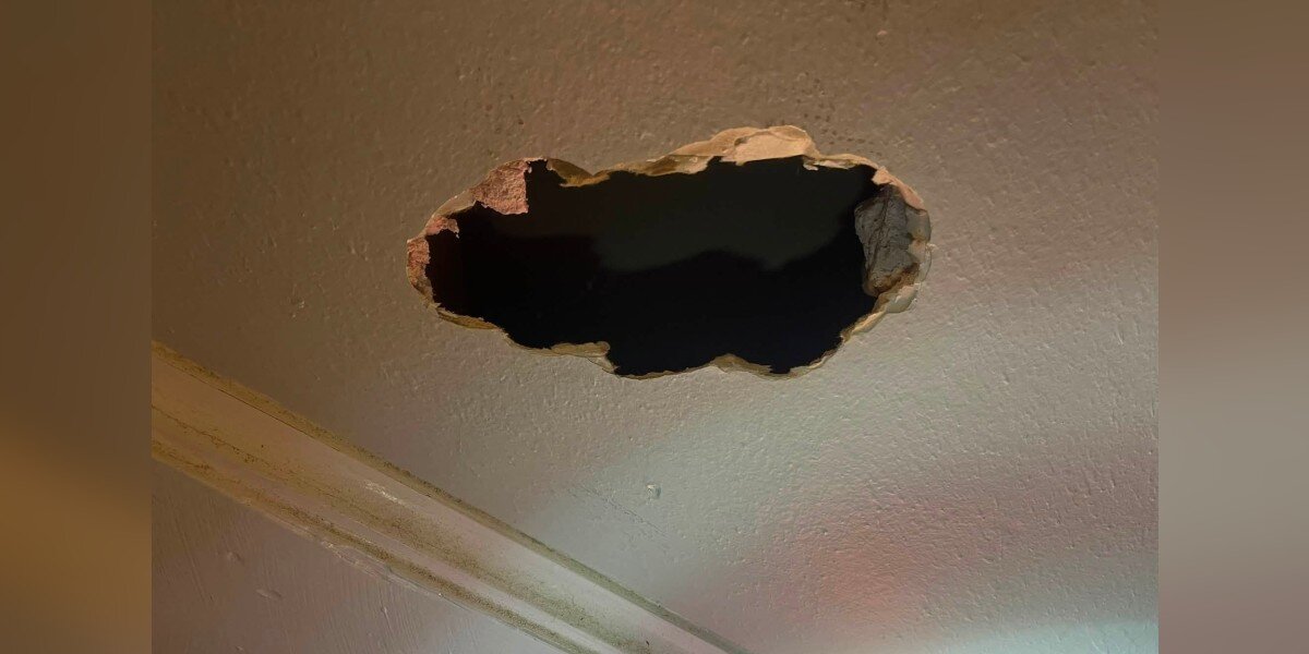 Couple Hears Cries Coming From Wall — And Realizes There Are 5 Babies Trapped Inside