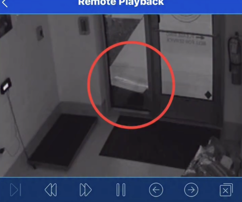 Shelter Workers Find Box Full Of Babies On Doorstep — Then Check The Cameras