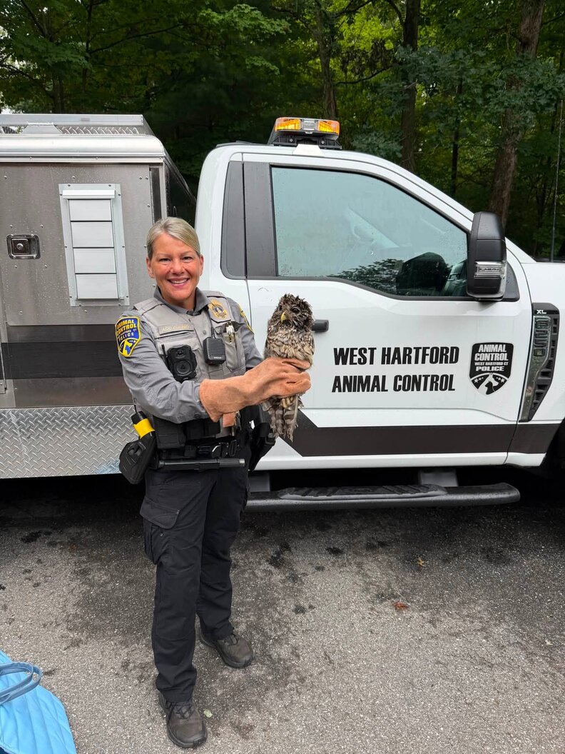 Rescuing Owl