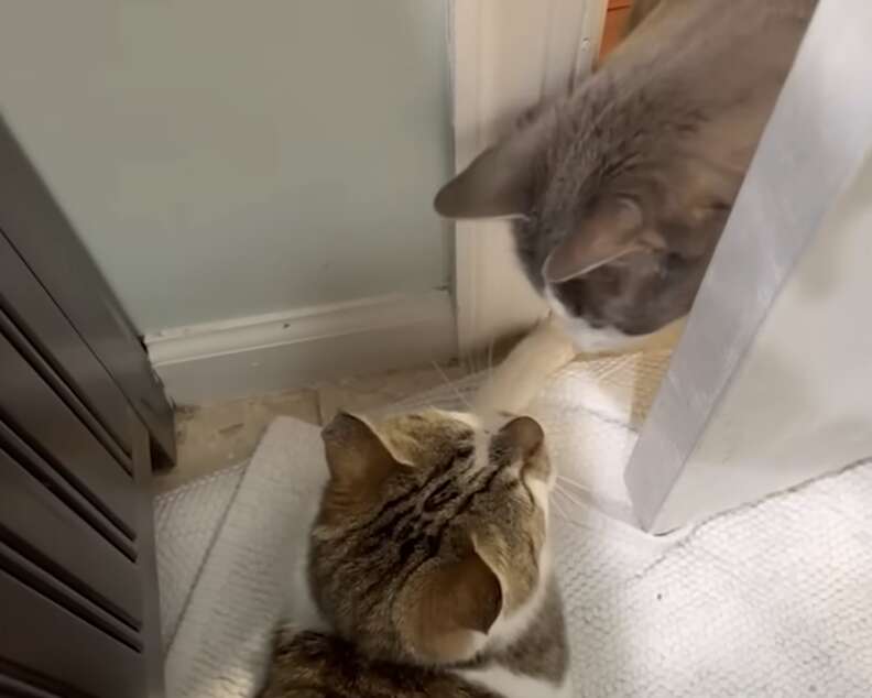 Sera settling in with Bonner