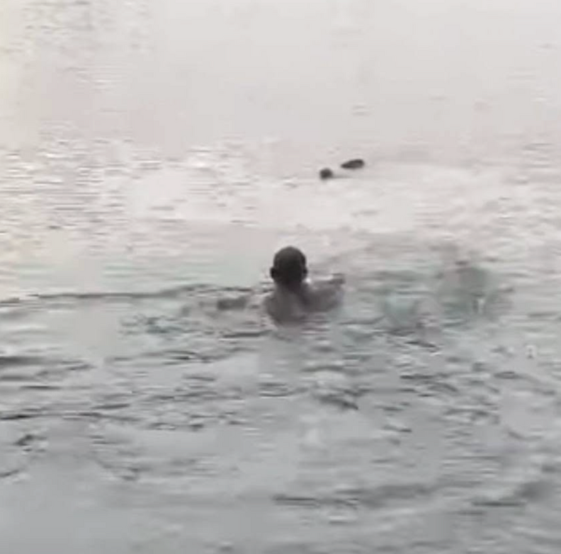 man rescuing deer