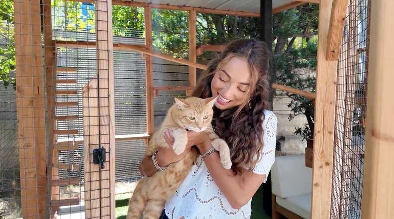 Catio designed for Cheddar and Junior