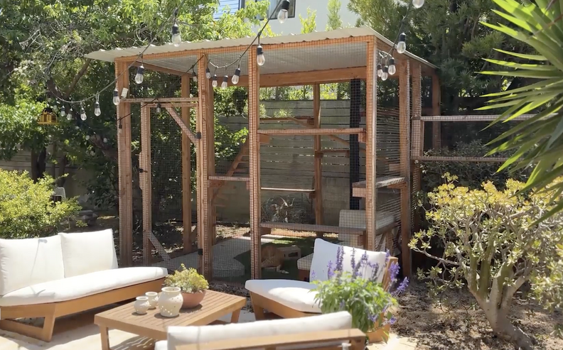 Multi-level catio with various features