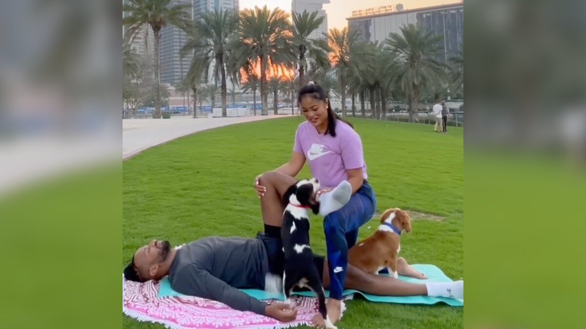 Woman’s Stretching Session Keeps Attracting Dogs — And One Leaves an Unwanted Gift