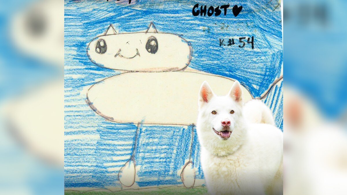 Shelter Enlists Tiny Picassos To Draw Perfect Portraits Of Adoptable Dogs