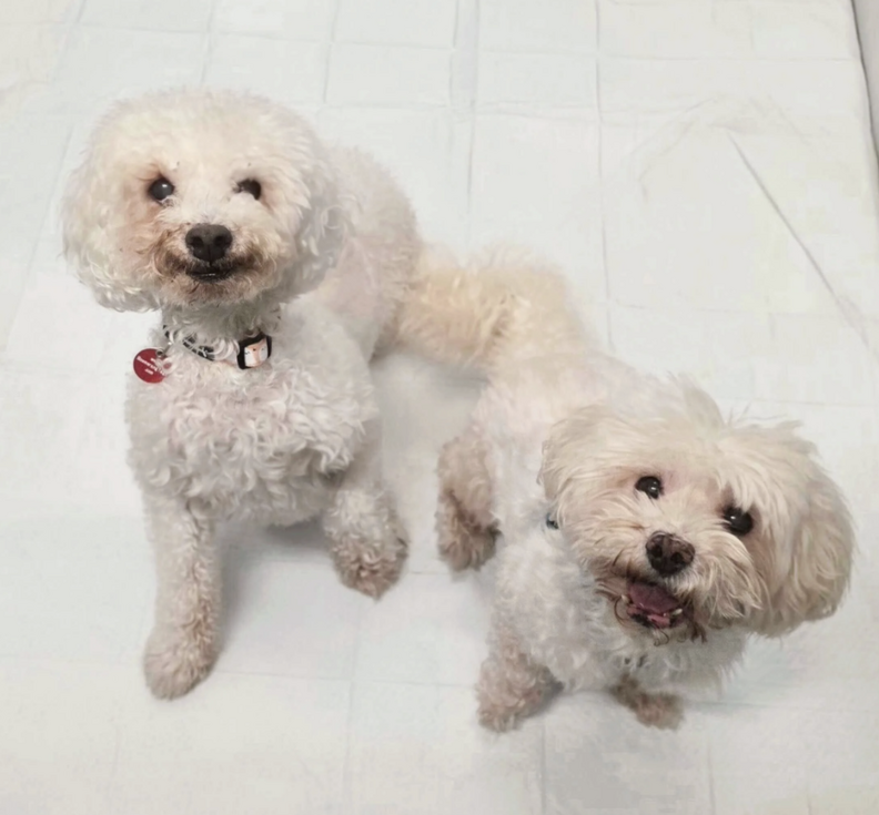 Cosmo & Miracle