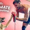 Veteran Brings His Retired Army Dog To Every MMA Training Session