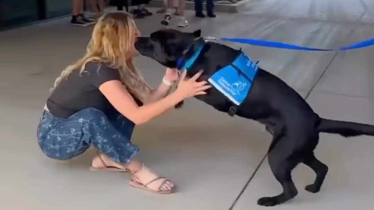 dog reuniting with woman who raised him