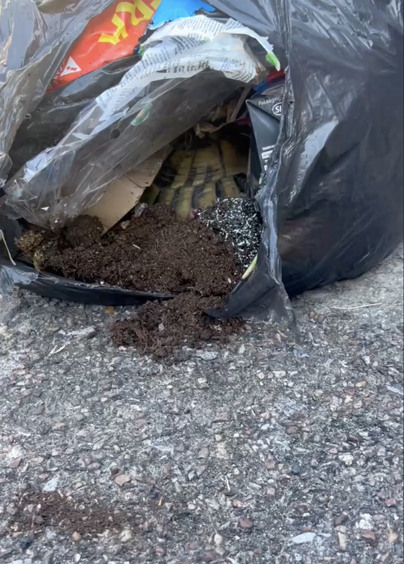 Man Walks Past Overflowing Garbage Bin And Spots A Little Face Peeking Out