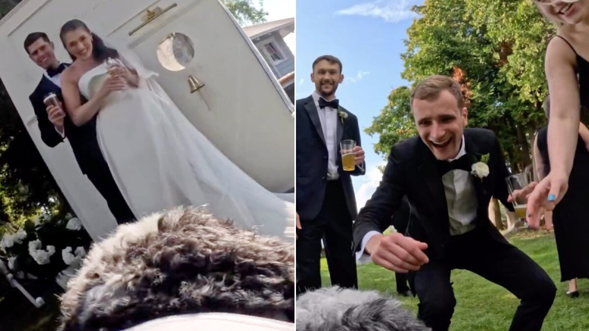 Couple Straps GoPro Camera To Their Dog At Wedding — And His POV Is Priceless