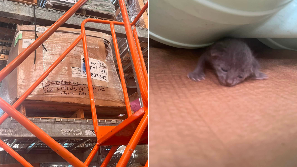 Home Depot Shopper Notices Box That Says ‘Be Careful’