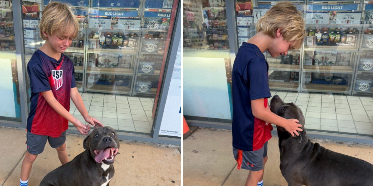 Little Boy Can't Stop Crying When He Meets An Abandoned Dog At A Gas Station