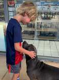 Little Boy Can't Stop Crying When He Meets An Abandoned Dog At A Gas Station