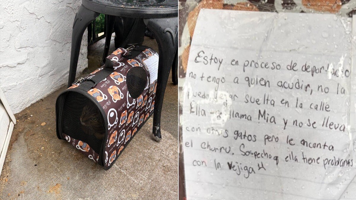 Pet Owner Facing Deportation Leaves A Heartbreaking Note To Whoever Finds Her Ca...